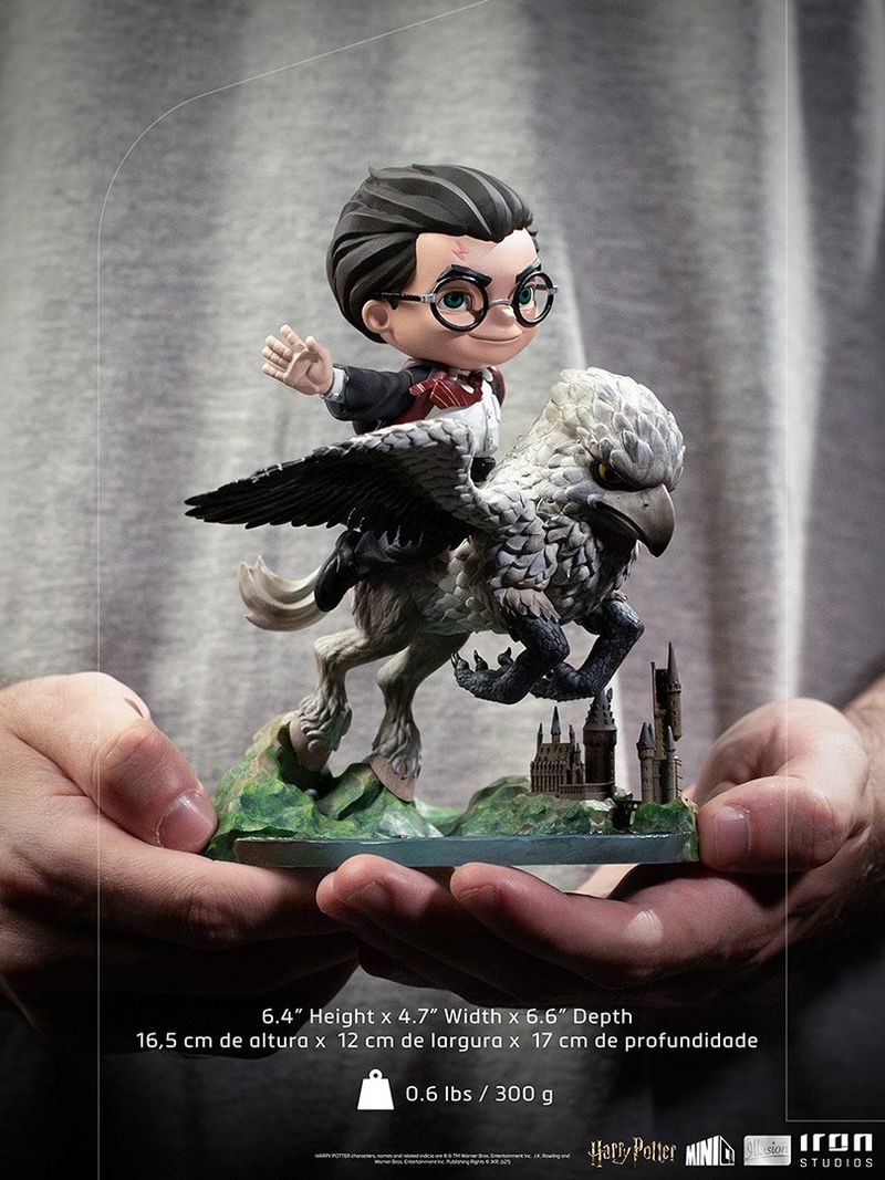 Harry & Buck - Mini Co Illusion, Harry Potter Figurine de collection