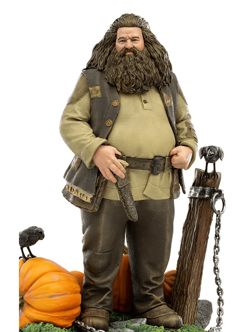 Plus Size Deluxe Harry Potter Hagrid Costume