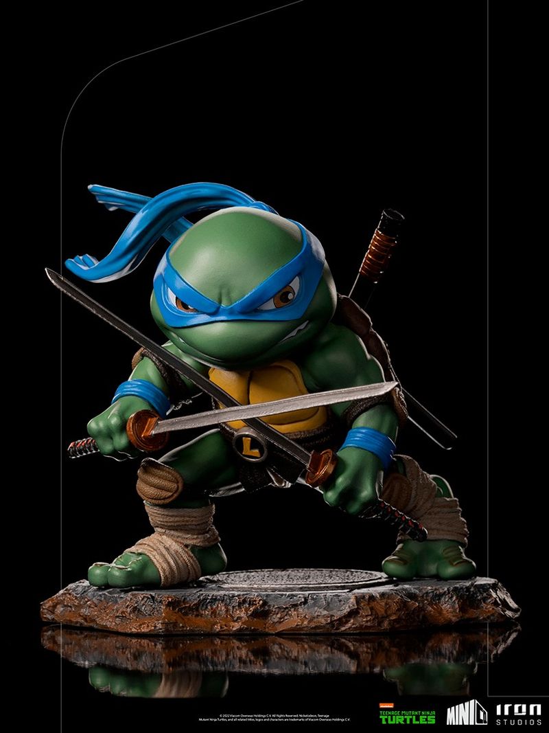 Leonardo from Teenage Mutant Ninja Turtles