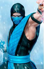 Sub-Zero  Sub zero mortal kombat, Mortal kombat art, Mortal kombat