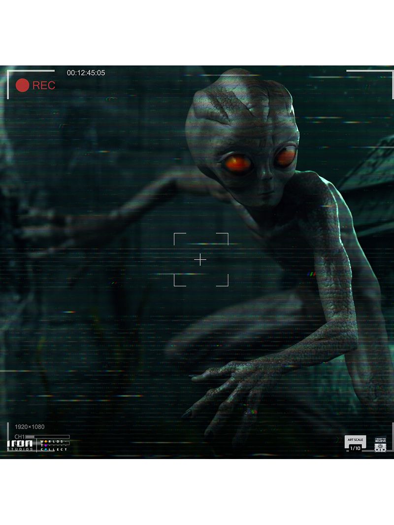 ET_Varginha_1-10_Comp.jpg